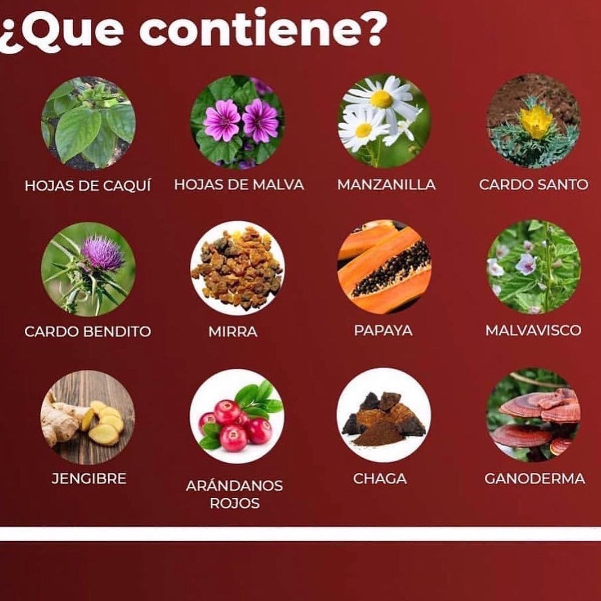 TÉ DIVINA®️ Desintoxicación para la sangre y cuerpo