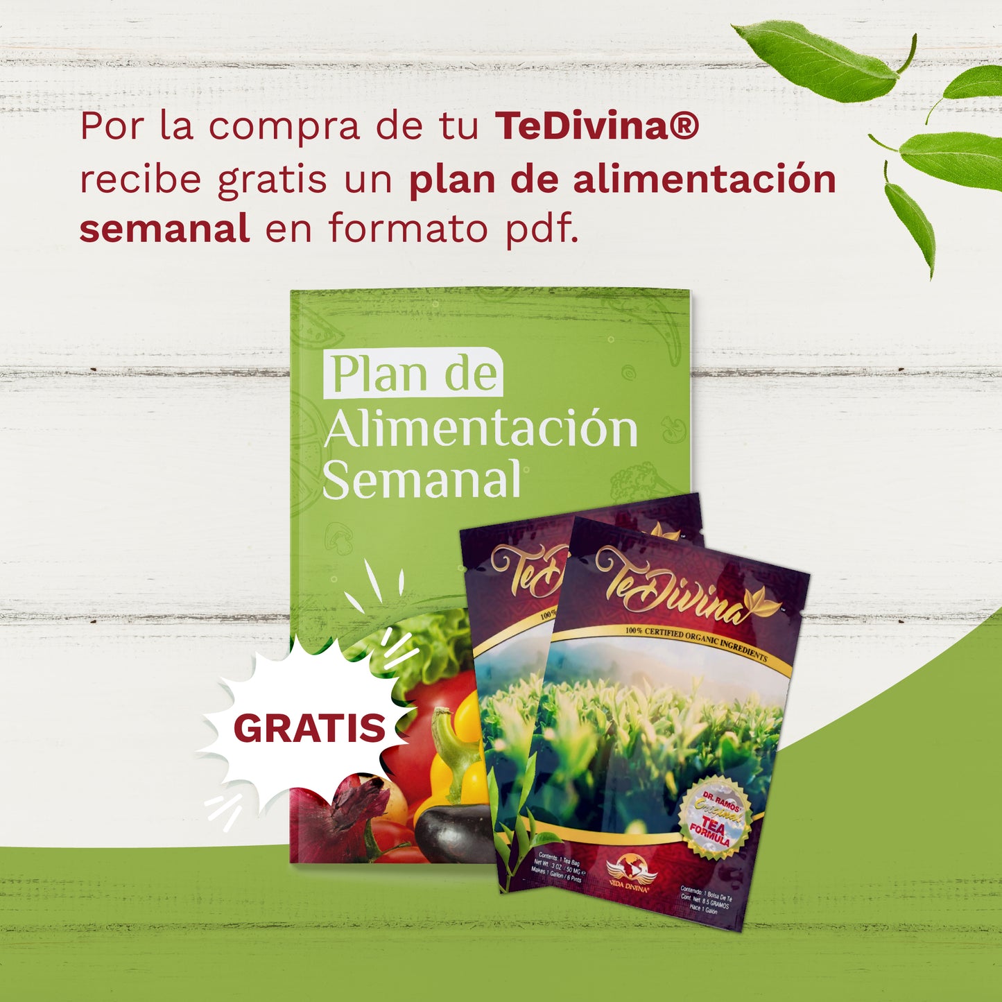 TÉ DIVINA®️ Desintoxicación para la sangre y cuerpo